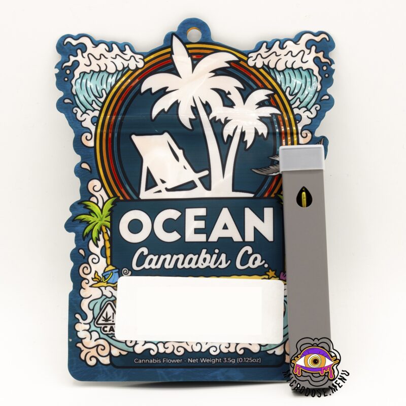 Ocean Blueberry Disposable Vape 1g