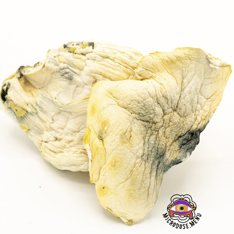 Third Eye Supply DC MAC Mushrooms 14g