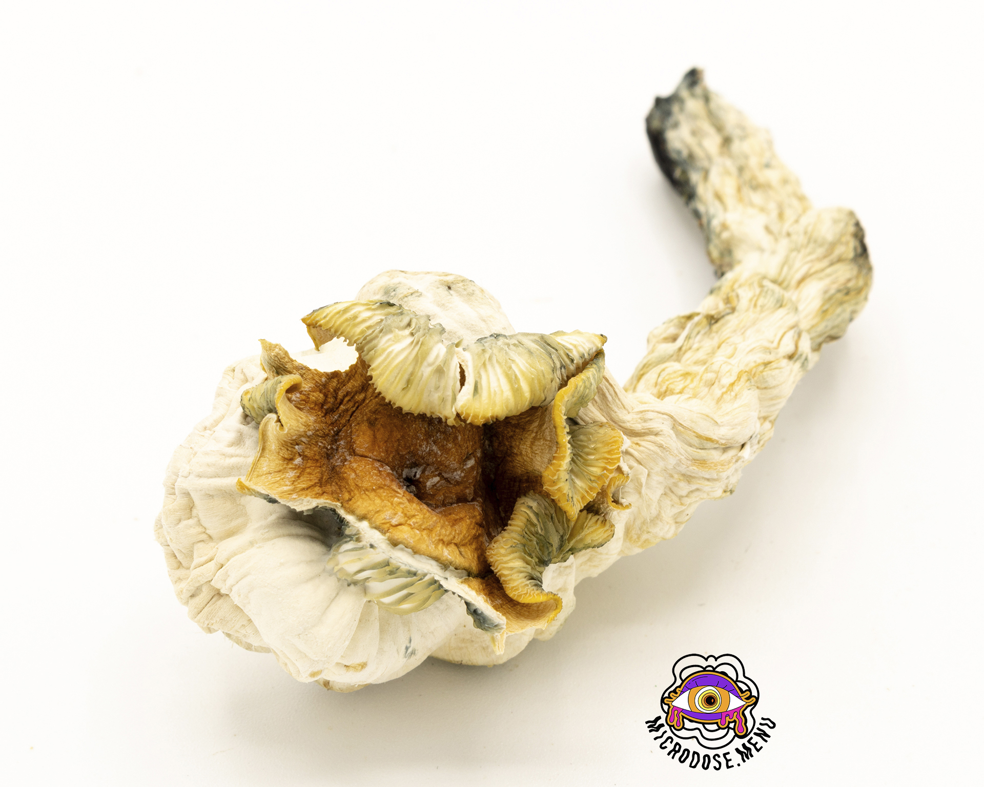 Third Eye Supply Wavy Cap Mushrooms 3.5g